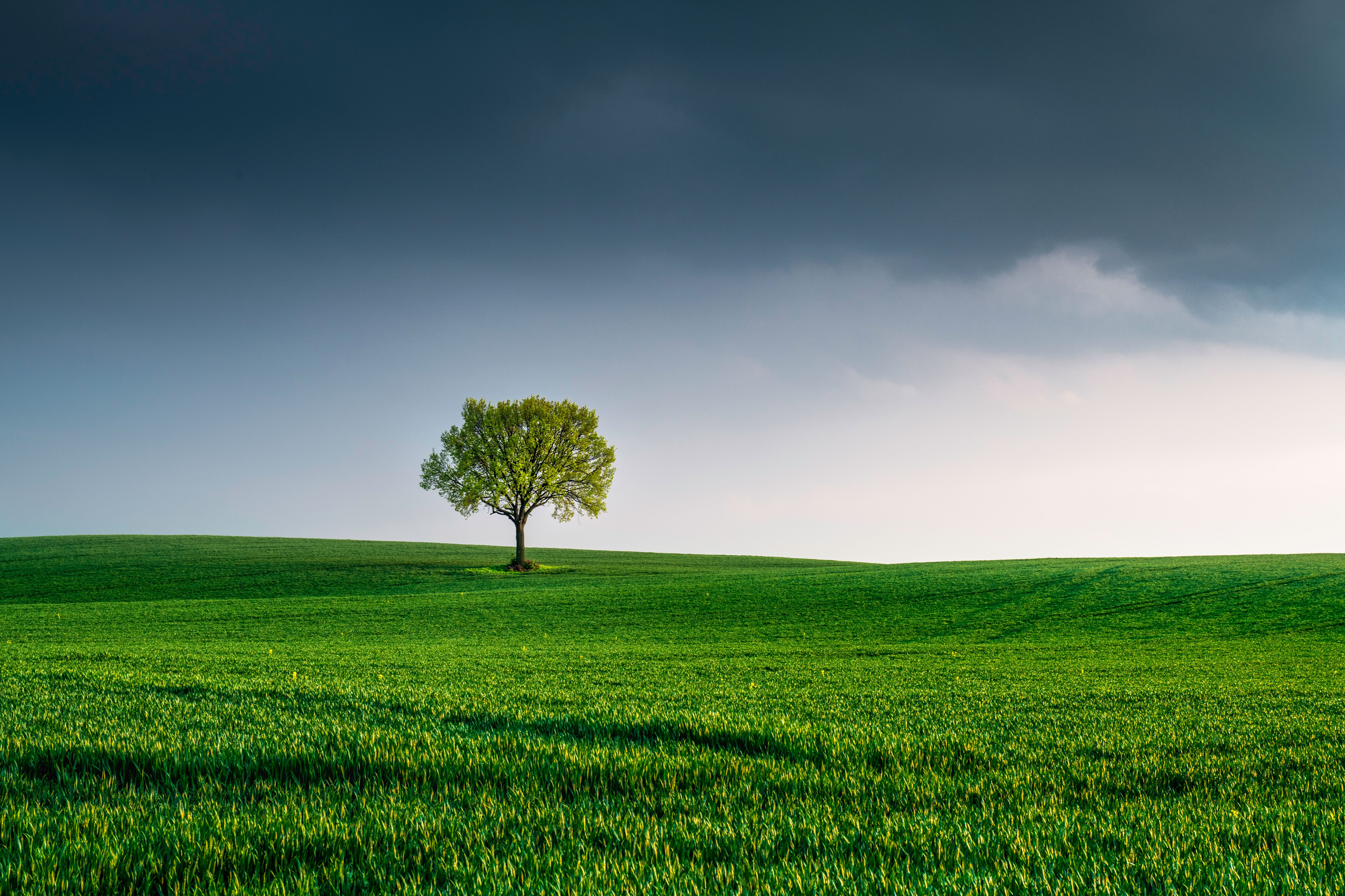 Strategic Land Acquisition & Investment Advisory